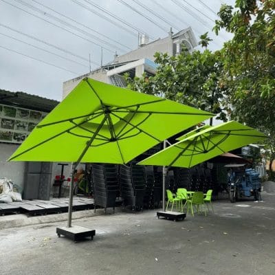 Hình ảnh thực tế